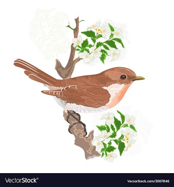 Bird on a twig jasmine vector image