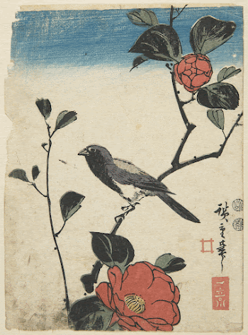 Bird on Camellia BranchOriginal from the Minneapolis | Free Photo - rawpixel