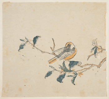 Bird on flowering branch; golden | Free Photo - rawpixel
