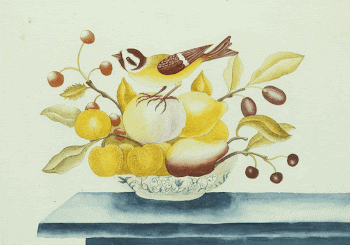 Bird on Fruits in Bowl. | Free Photo - rawpixel
