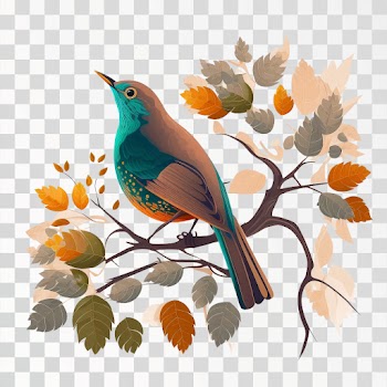 Bird on tree PNG transparent