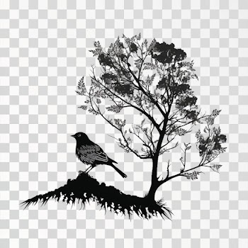 Bird on tree PNG transparent