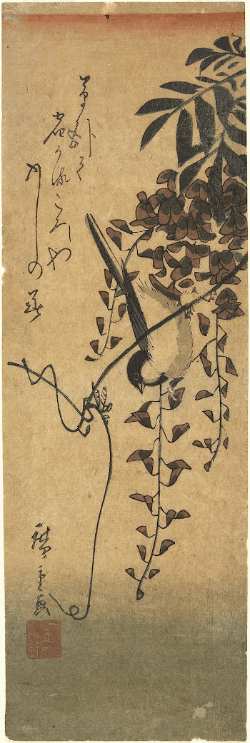 Bird on Wisteria VineOriginal from the Minneapolis | Free Photo - rawpixel