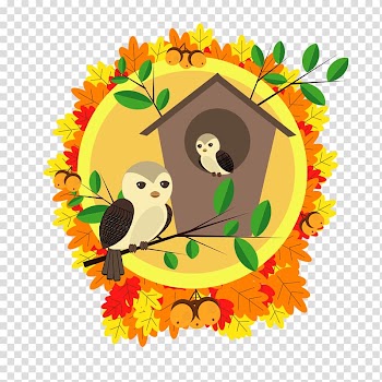 Bird Open graphics Autumn, danillion orange flower identification transparent background PNG clipart