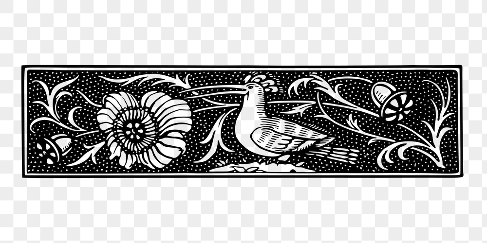 Bird ornament png divider sticker, | Free PNG - rawpixel