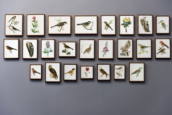 Bird Painting Wall