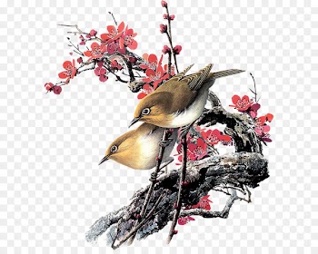 Bird, Painting, Watercolor Painting, Cedar Waxwing PNG