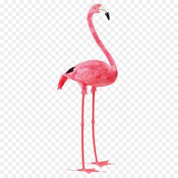 Bird Paper Flamingo Feather Pink - flamingo 