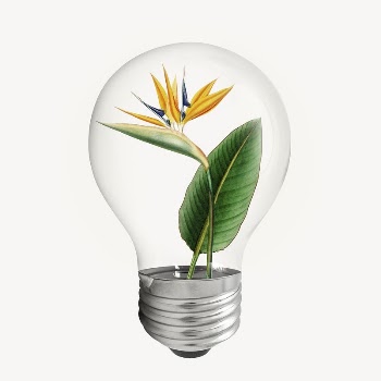 Bird paradise flower light bulb | Free PSD - rawpixel