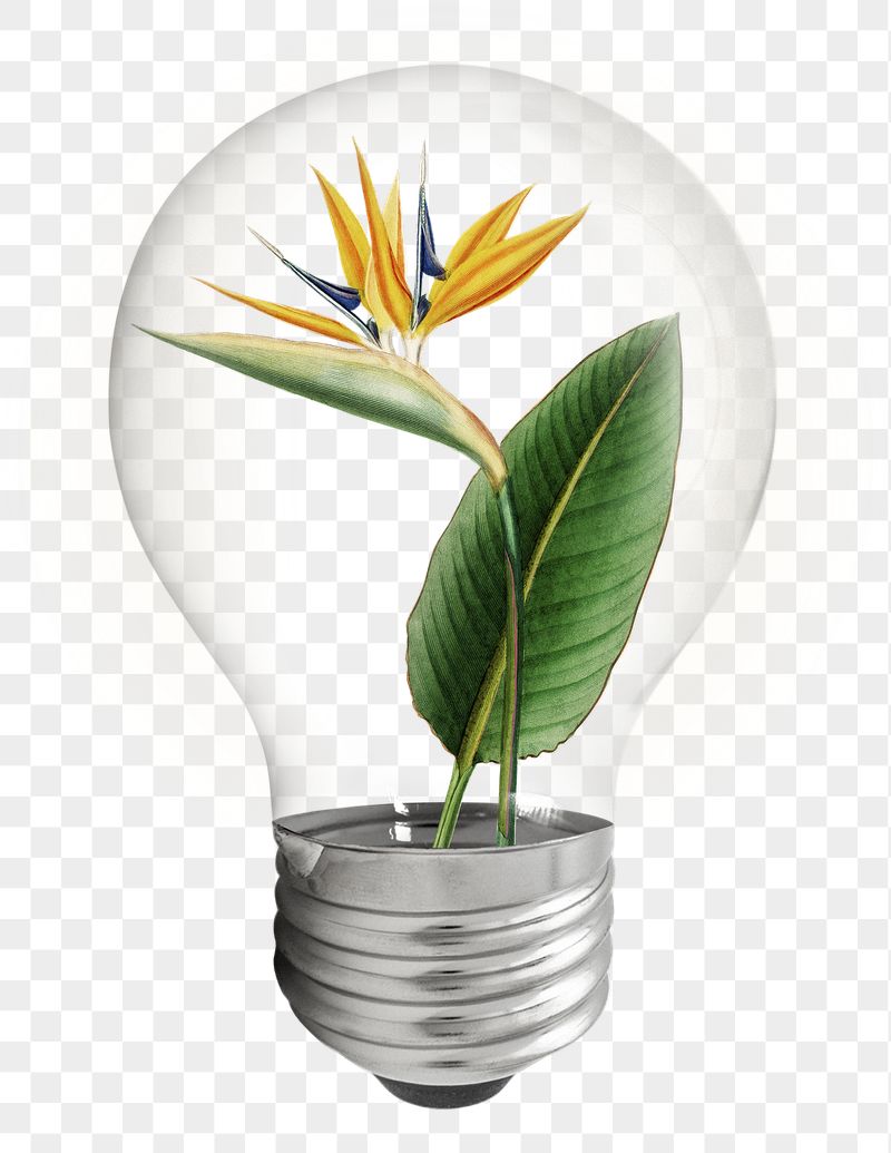 Bird paradise flower png light | Free PNG - rawpixel