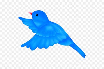 Bird Parrot Cartoon Clip art - bird cartoon 