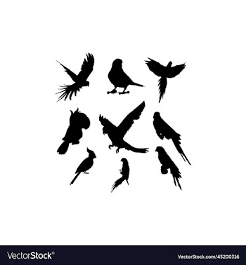 bird parrot collection set silhouette