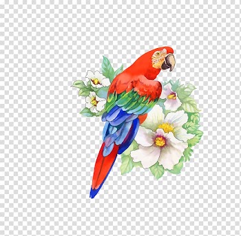 Bird Parrot Flower Drawing, parrot transparent background PNG clipart