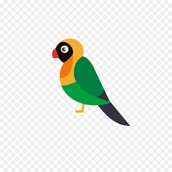 Bird Parrot - Multicolored parrot 