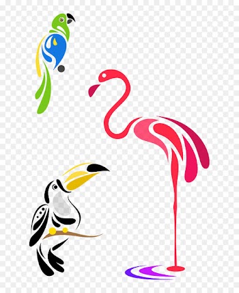 Bird Parrot Phoenicopterus Vector graphics Stock photography - avianca ornament 