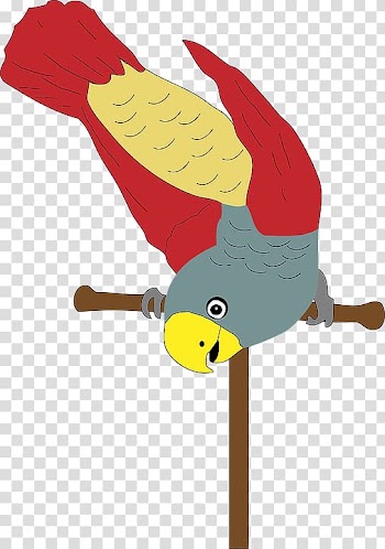 Bird Parrot Yellow perch , Colored parrot transparent background PNG clipart