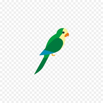 Bird Parrots of New Guinea Euclidean vector - Multicolored parrot 