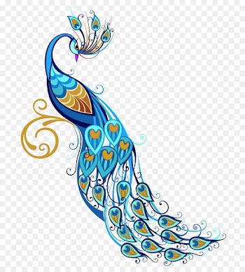 Bird Peafowl Feather Clip art - Beautiful peacock vector 