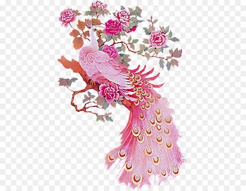 Bird Peafowl Feather Pink Paper - Peacock Peony 