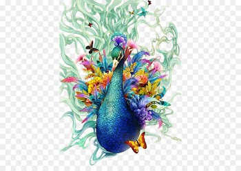 Bird Peafowl Painting Drawing Feather - birds 
