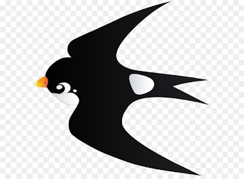 Bird Penguin Clip art - Swallow Bird Cartoon Transparent PNG Image 