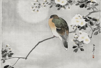 Bird perched on a branch | Free Photo Illustration - rawpixel