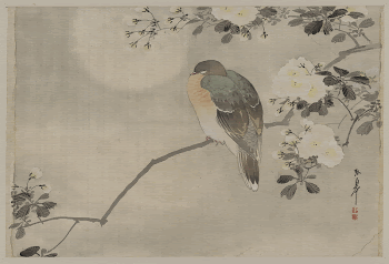 [Bird perched on a branch | Free Photo - rawpixel