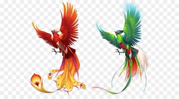 Bird Phoenix Fenghuang - Phoenix color pattern 
