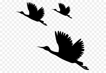Bird PicsArt Photo Studio Clip art - Birds Silhouettes PNG Clip Art Image 