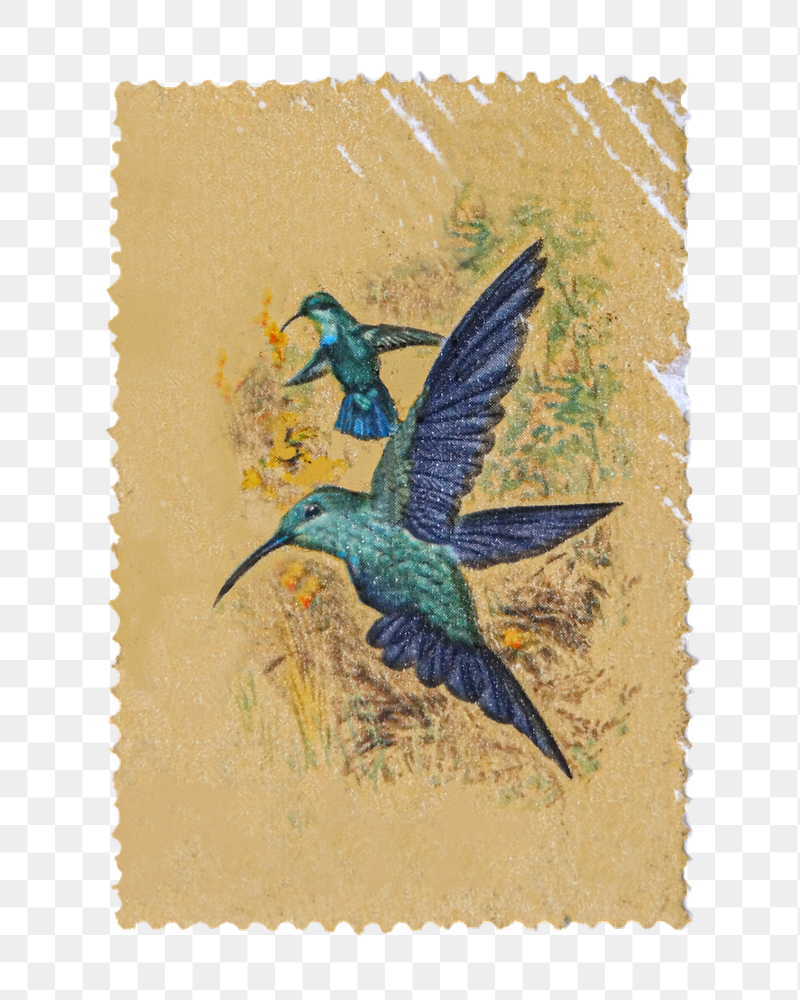 Bird postage stamp png sticker, | Free PNG - rawpixel