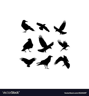 bird raven collection set design