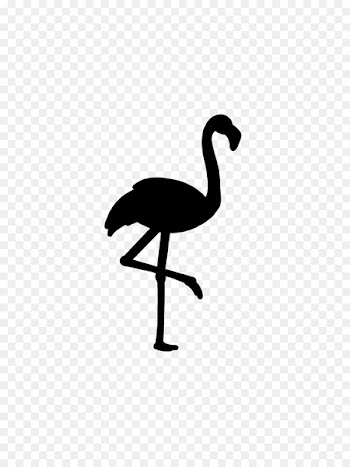 Bird Roblox Crane Pink Flamingo -  