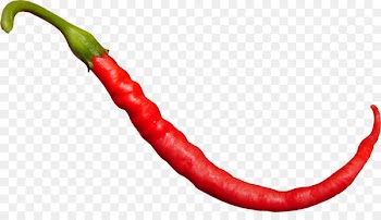 Bird's eye chili Tabasco pepper Serrano pepper Chili pepper Cayenne pepper - cardamom pictogram 