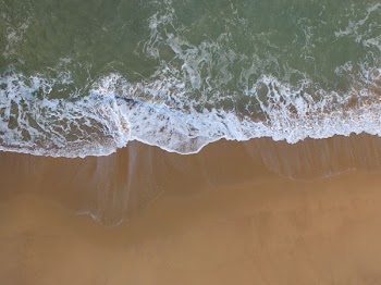 bird's eye photography of beach shore