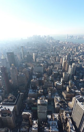 bird's eye photography of high rise buildings