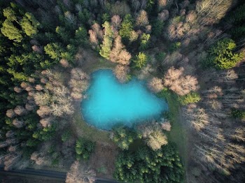 bird's eye photography of lake in middle of forest