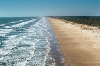 bird's eye photography of sea shore