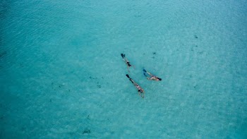 bird's eye photography of three people swimming on water