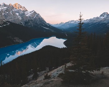 bird's eye view of body of water in the middle of foresty