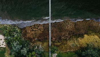 bird's eye view of bridge