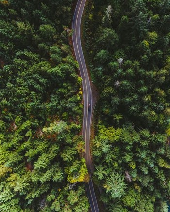 bird's eye view of car on road