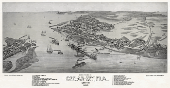 Bird's eye view of Cedar-Key, | Free Photo - rawpixel