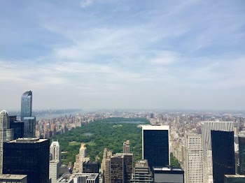 bird's-eye view of city building under cloudy sky