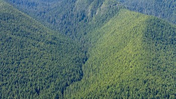 bird's eye view of green mountains