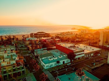 bird's eye view of houses near seashore