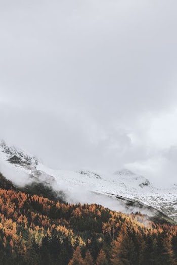 bird's eye view of mountain covered by snow