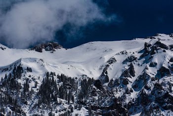 bird's eye view of mountains and trees coated with snow