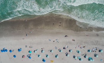 bird's eye view of people on shoreline near body of water
