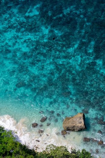 bird's eye view of seashore