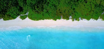 Bird's eye view of tropical white sand beach blue aqua sea and palm trees background in Maldives 